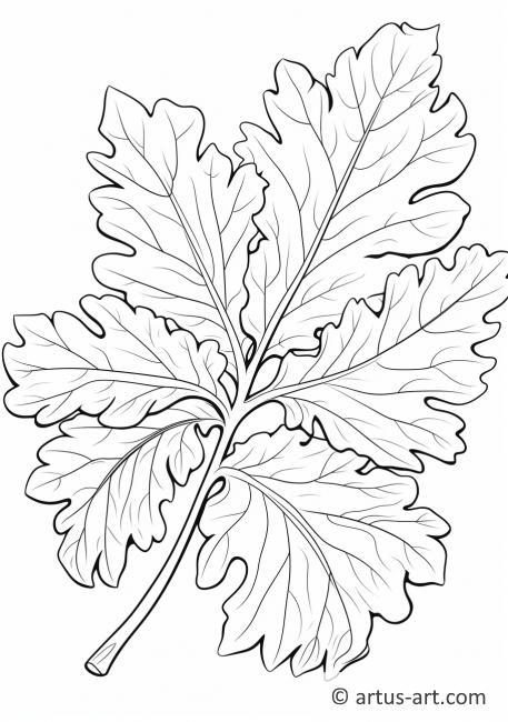 Раскраска с узором листа фигового дерева
